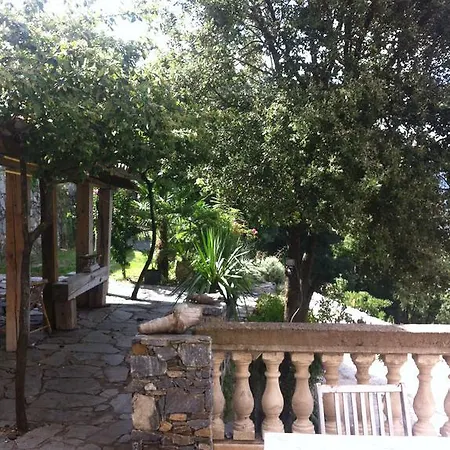 Margherite Apartament