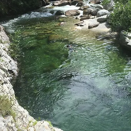 Margherite * Corte (Corsica)
